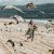 Tips for Baby’s First Beach Trip
